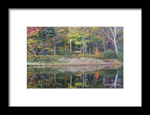 Willey House Historic Site Framed Print featuring the photograph Crawford Notch State Park - White Mountains New Hampshire USA #3 by Erin Paul Donovan