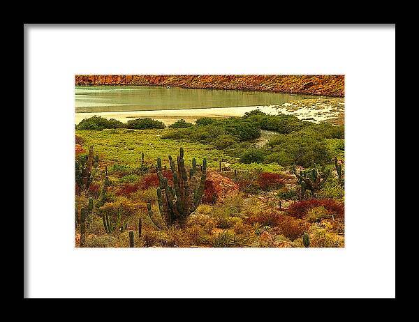 Beaches Framed Print featuring the mixed media Ensenada Grande by Robert McKinstry