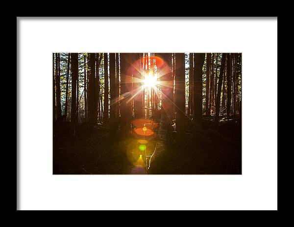 Colorful Framed Print featuring the photograph Here Comes the Sun #3 by Michele Cornelius