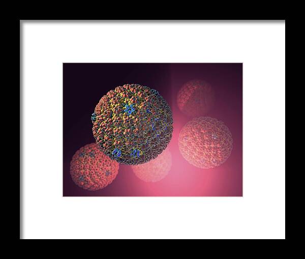 Biology Framed Print featuring the photograph Herpes Simplex Virus #3 by Hipersynteza