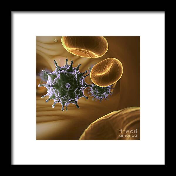 Cells Framed Print featuring the photograph Hiv Infection #3 by Science Picture Co