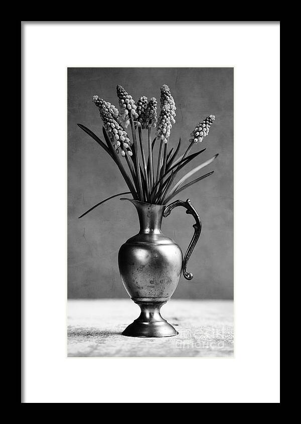 Hyacinth Framed Print featuring the photograph Hyacinth Still Life #3 by Nailia Schwarz