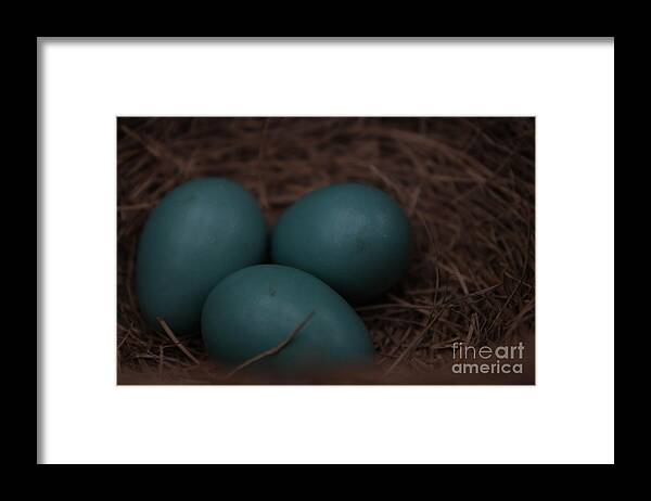 3 Framed Print featuring the photograph 3 by Jennifer E Doll