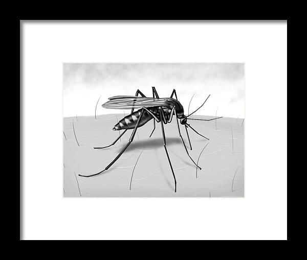 People Framed Print featuring the drawing LiquidLibrary #3 by Jupiterimages