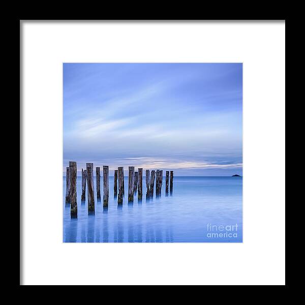 Beauty Framed Print featuring the photograph Old Jetty Pilings Dunedin New Zealand #3 by Colin and Linda McKie