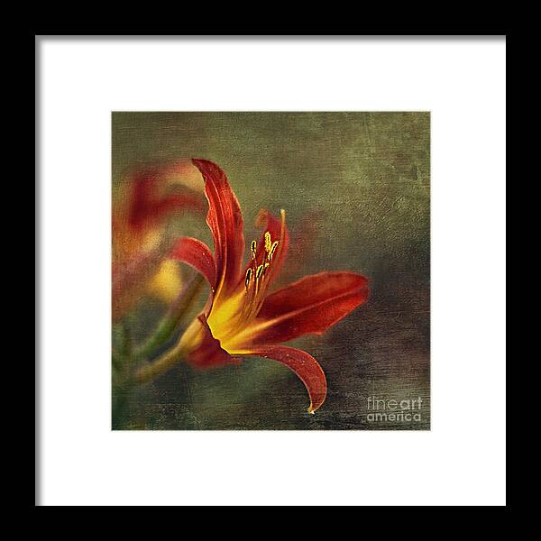 Lily Framed Print featuring the photograph Passion #3 by Maria Ismanah Schulze-Vorberg