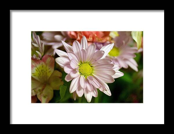 Pink Flower Framed Print featuring the photograph Pink flower #3 by Susan Jensen