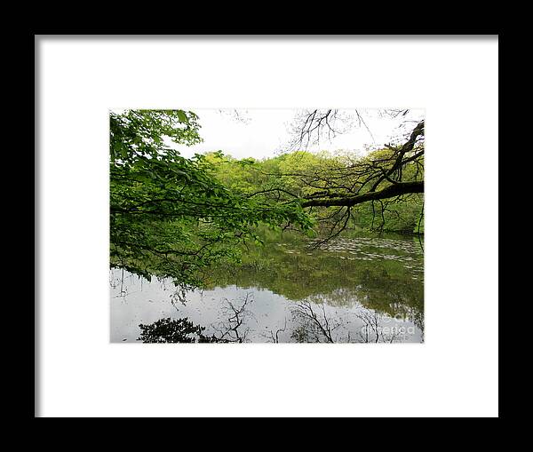 Pond Framed Print featuring the photograph Pond near Luxembourg City #5 by Chani Demuijlder