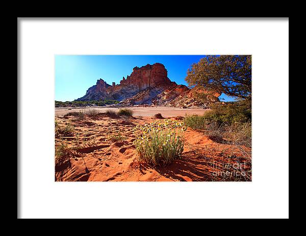 Rainbow Valley Sunrise Outback Landscape Central Australia Water Hole Northern Territory Australian Clay Pan Framed Print featuring the photograph Rainbow Valley #3 by Bill Robinson