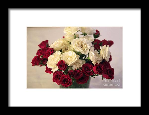 Rose Framed Print featuring the photograph Roses #6 by Amanda Barcon