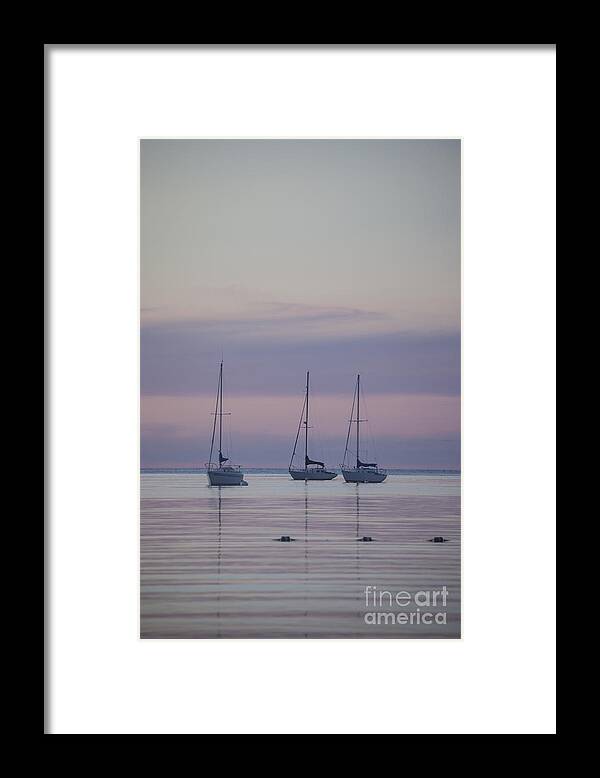 Sailboats Framed Print featuring the photograph 3 Sailboats by Timothy Johnson
