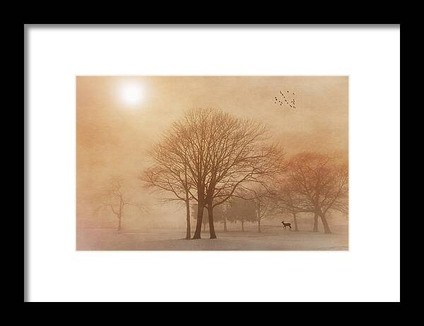 Serene Framed Print featuring the photograph Serenity #3 by Cathy Kovarik