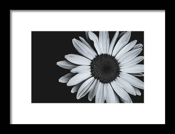 Daisy Framed Print featuring the photograph Simplicity #3 by Sara Frank
