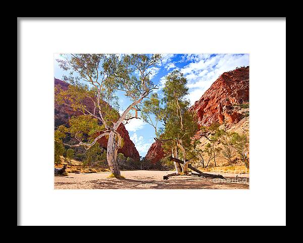 Simpsons Gap Central Australia Landscape Outback Water Hole West Mcdonnell Ranges Northern Territory Australian Landscapes Ghost Gum Trees Framed Print featuring the photograph Simpsons Gap #5 by Bill Robinson