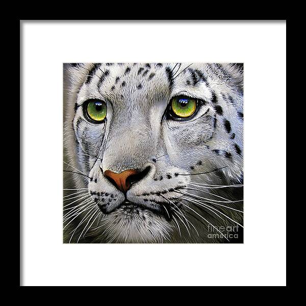 Snow Leopard Framed Print featuring the painting Snow Leopard #3 by Jurek Zamoyski