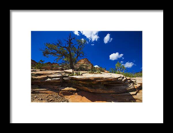 Landscape Framed Print featuring the photograph Zion National Park Utah USA #40 by Richard Wiggins