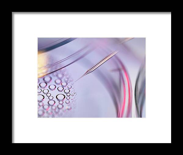 Stem Cells Framed Print featuring the photograph Stem Cell Research #30 by Tek Image