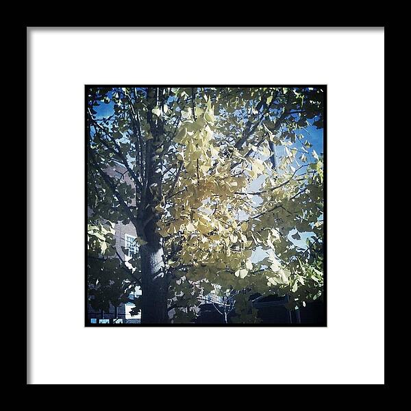  Framed Print featuring the photograph Instagram Photo #331384531019 by Rachel Maynard