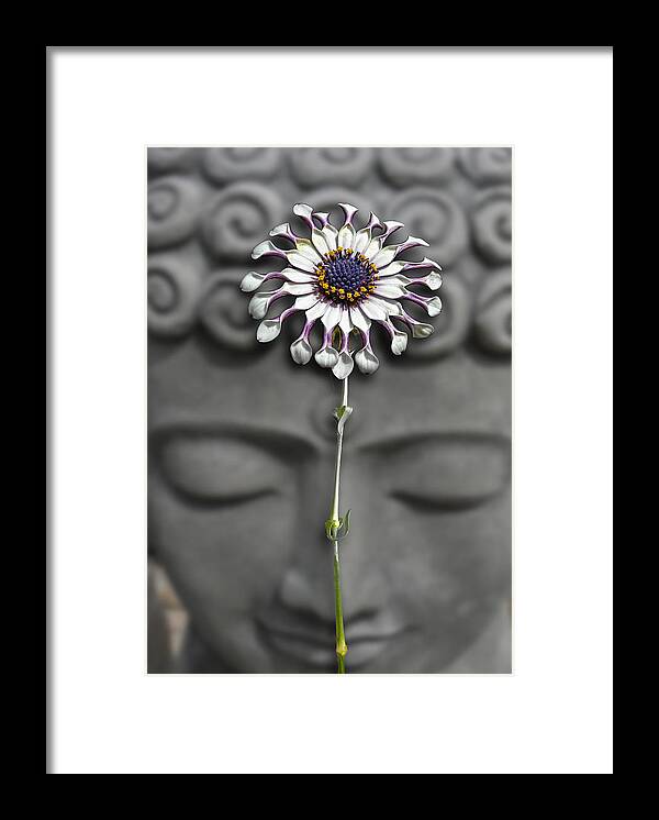 Statue Framed Print featuring the photograph 3487 by Peter Holme III