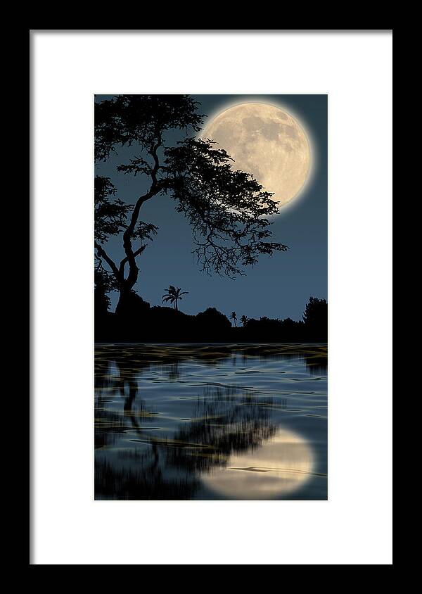 Trees Framed Print featuring the photograph 3600 by Peter Holme III