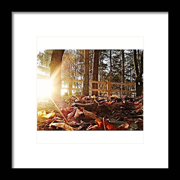 Canvaswallart Framed Print featuring the photograph #37 | #leaves #37 by MrSolrak Photography