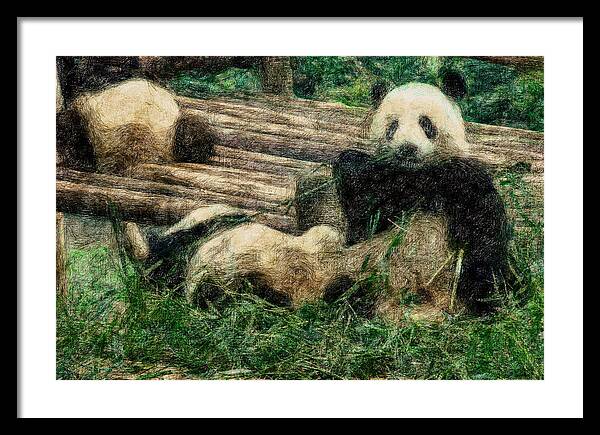 Asia Framed Print featuring the digital art 3722-Panda - Colored Photo 2 by David Lange