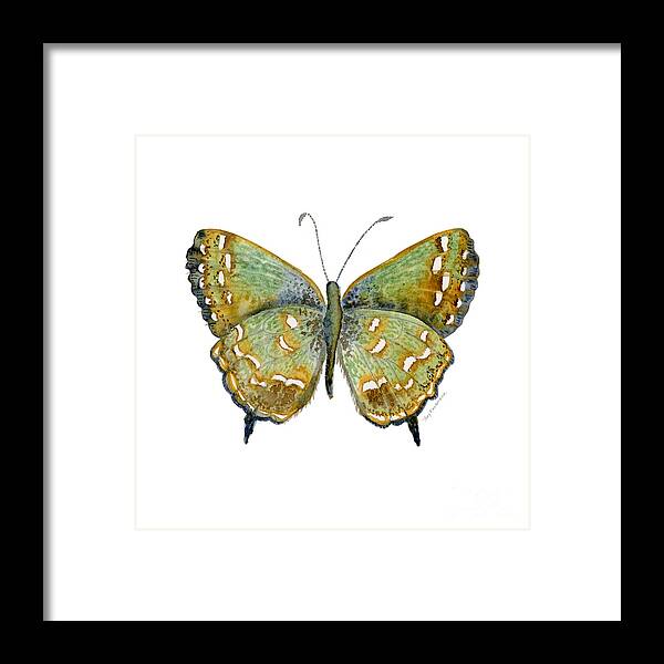 Hesseli Butterfly Framed Print featuring the painting 38 Hesseli Butterfly by Amy Kirkpatrick