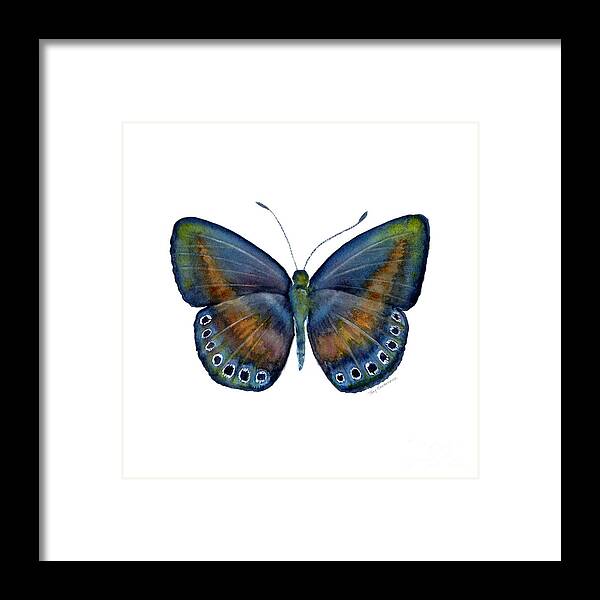 Danis Framed Print featuring the painting 39 Mydanis Butterfly by Amy Kirkpatrick
