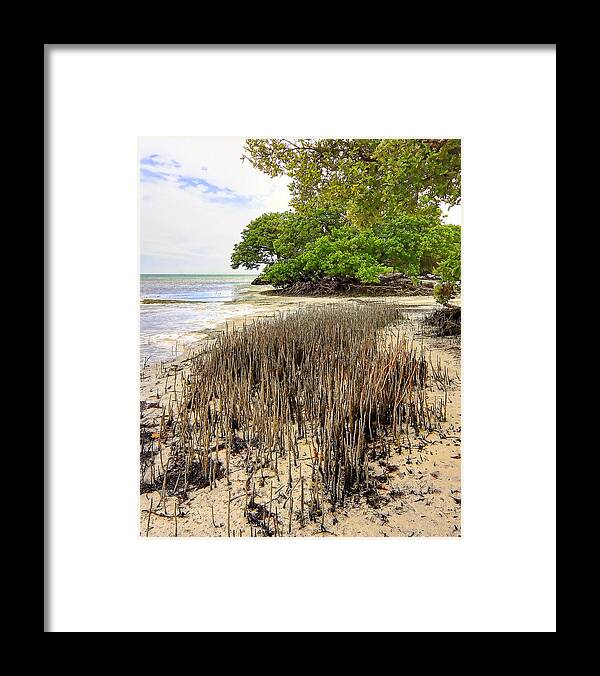 Florida Framed Print featuring the photograph Anne's Beach-2 by Rudy Umans