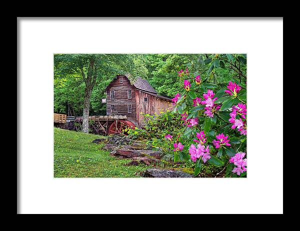 Babcock State Park Framed Print featuring the photograph Babcock State Park #4 by Mary Almond