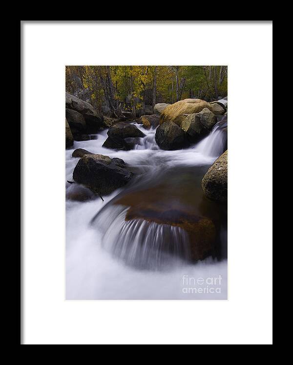 Stream Framed Print featuring the photograph Cascading Stream #4 by John Shaw