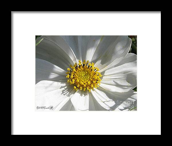 Cosmos Framed Print featuring the digital art Cosmos named Sensation Alba #4 by J McCombie