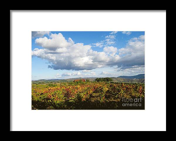 Nature Framed Print featuring the photograph Douro River Valley #4 by Arlene Carmel