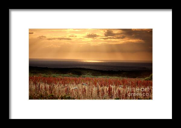 Sun Framed Print featuring the photograph Evening at the Sea #4 by Nailia Schwarz