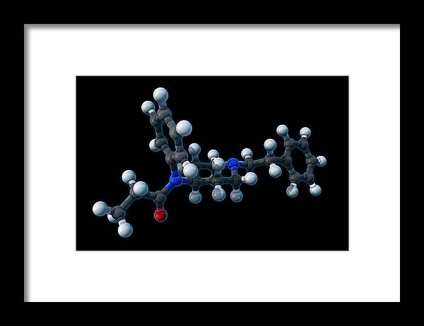 Model Framed Print featuring the photograph Fentanyl, Molecular Model by Evan Oto