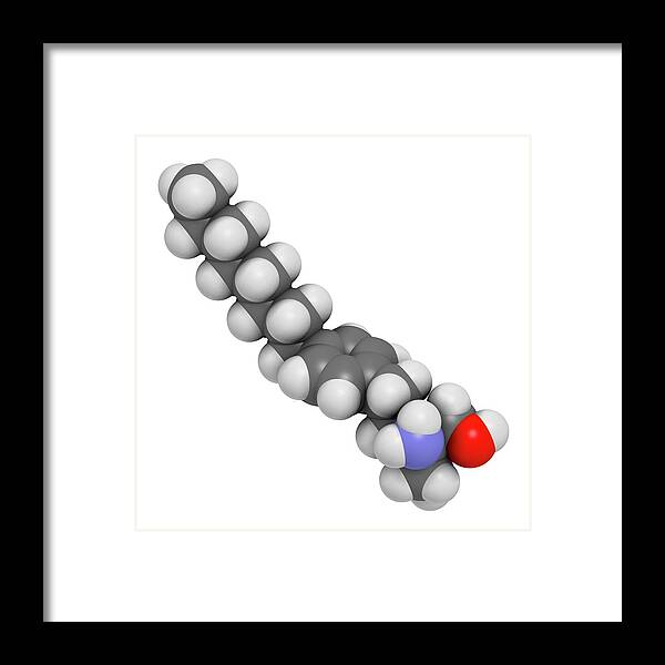 Fingolimod Framed Print featuring the photograph Fingolimod Multiple Sclerosis Drug #4 by Molekuul