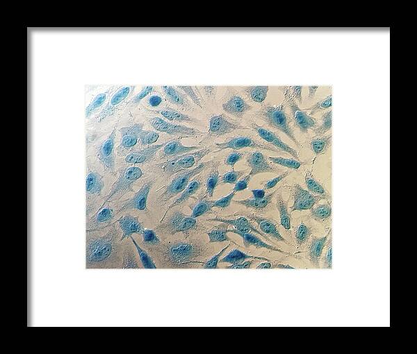 Anatomical Framed Print featuring the photograph Hela Cells #4 by Heiti Paves