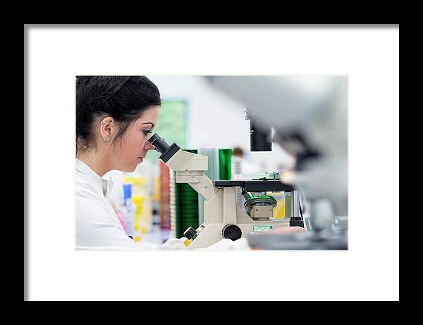 People Framed Print featuring the photograph Hospital Pathology Lab #4 by Aberration Films Ltd