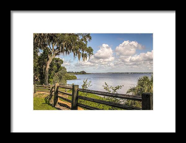 Florida Framed Print featuring the photograph Philippe Park #4 by Jane Luxton