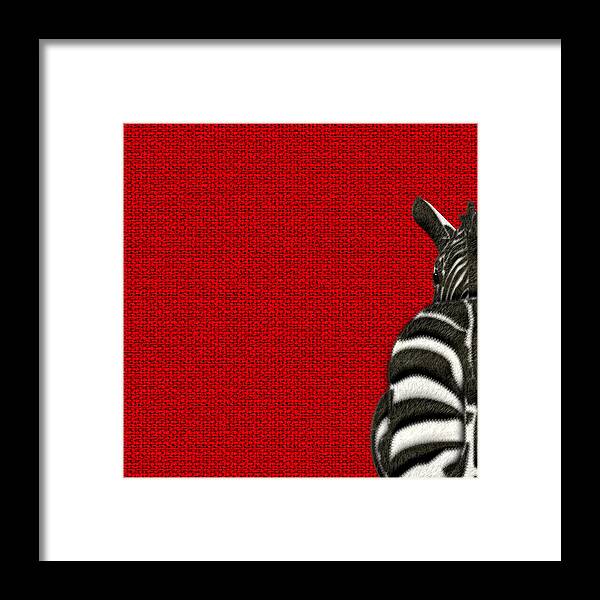 'beasts Creatures And Critters' Collection By Serge Averbukh Framed Print featuring the digital art 4-Piece Set - Zebra Rear View on Red 1-of-4 by Serge Averbukh
