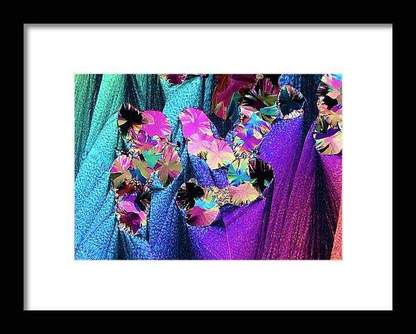 Progesterone Framed Print featuring the photograph Plm Of Crystals Of Progesterone #4 by Sidney Moulds/science Photo Library