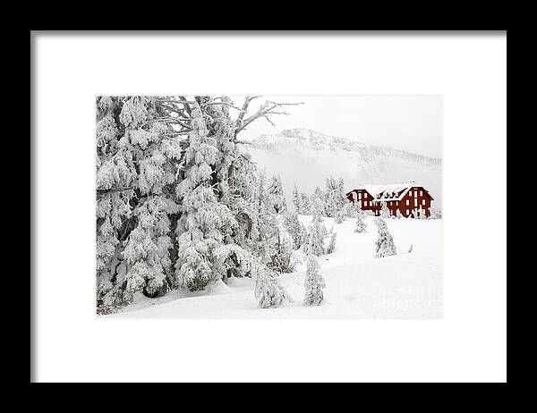 Landscape Framed Print featuring the photograph Snow And Ice On Trees #4 by John Shaw
