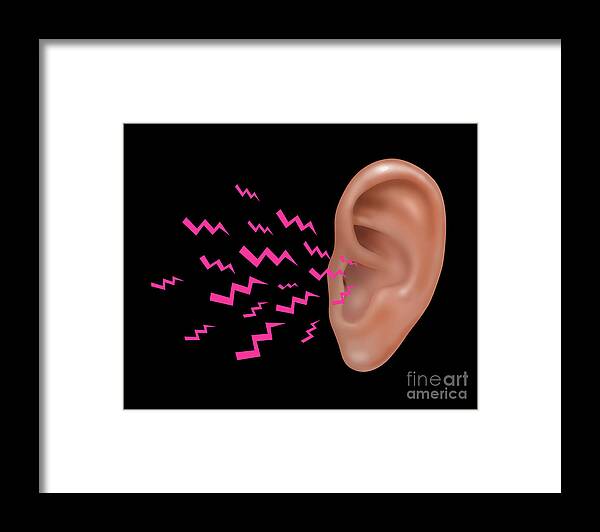 Illustration Framed Print featuring the photograph Sound Entering Human Outer Ear by Gwen Shockey