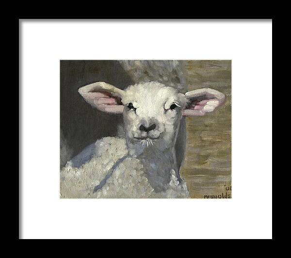  Framed Print featuring the painting Spring Lamb #4 by John Reynolds