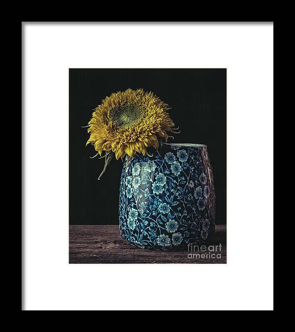 Flower Framed Print featuring the photograph Sunflower #6 by Edward Fielding