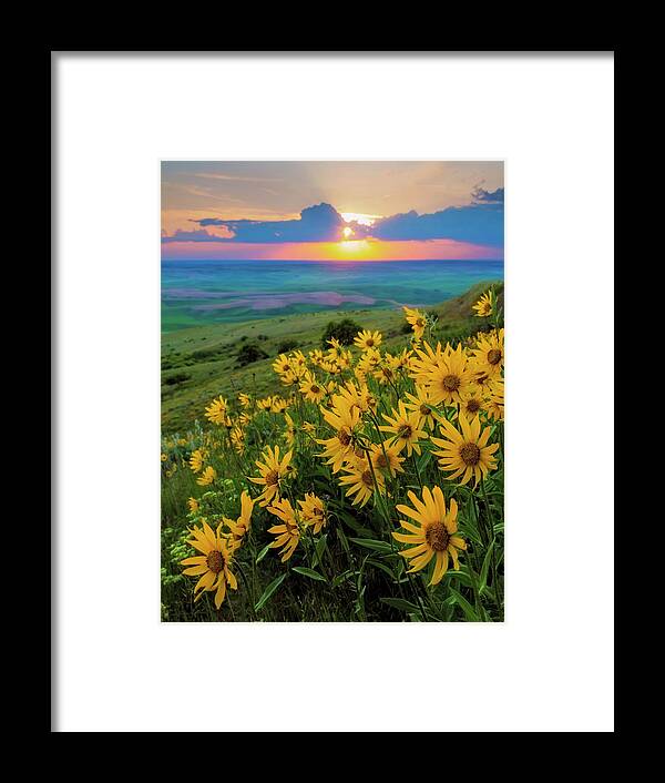 Cloud Framed Print featuring the photograph USA, Washington State, Palouse Hills #4 by Jaynes Gallery