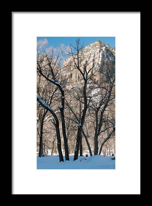 West Fork Framed Print featuring the photograph West Fork #5 by Tam Ryan