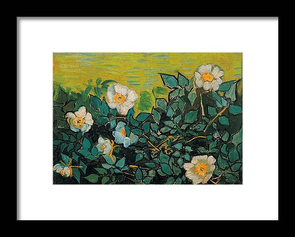 Vincent Van Gogh Framed Print featuring the painting Wild Roses #3 by Vincent Van Gogh