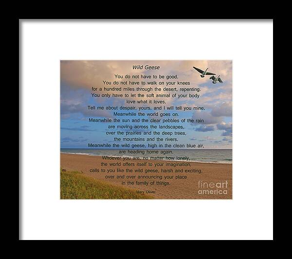Wild Geese Framed Print featuring the photograph 40- Wild Geese Mary Oliver by Joseph Keane