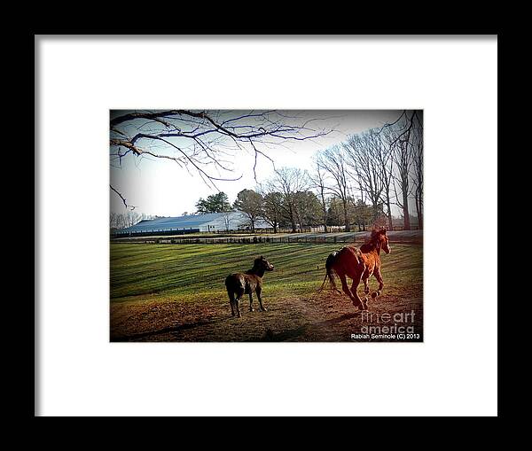 Horse Framed Print featuring the photograph 45 and Going Strong by Rabiah Seminole